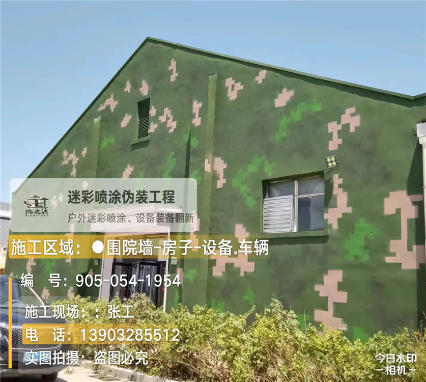 南阳外墙数码迷彩漆施工报价清单（100㎡标准墙面测算）